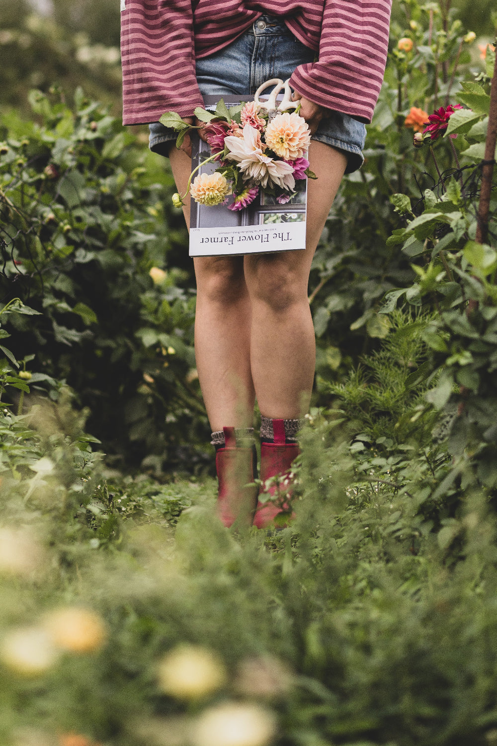 GIFT SUBSCRIPTION - The Flower Farmer Magazine