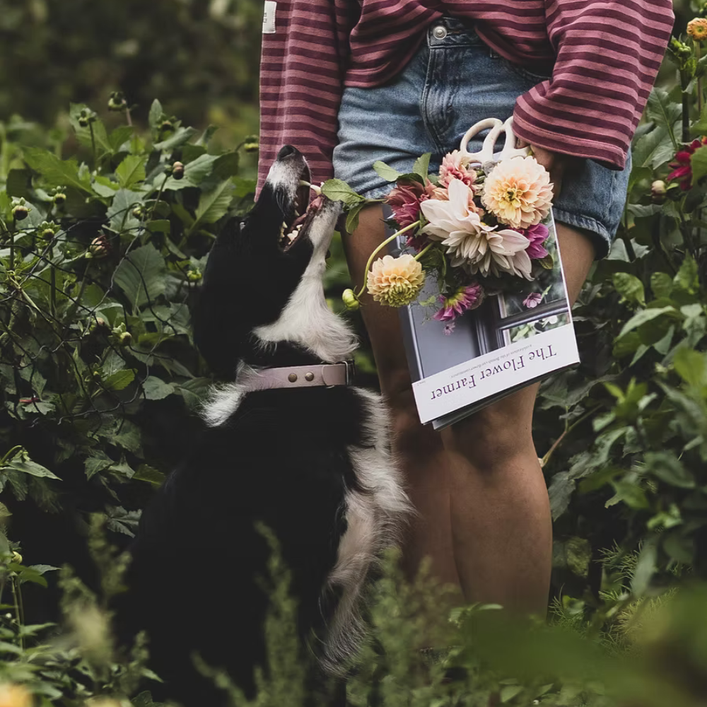 PRINT SUBSCRIPTION - The Flower Farmer Magazine