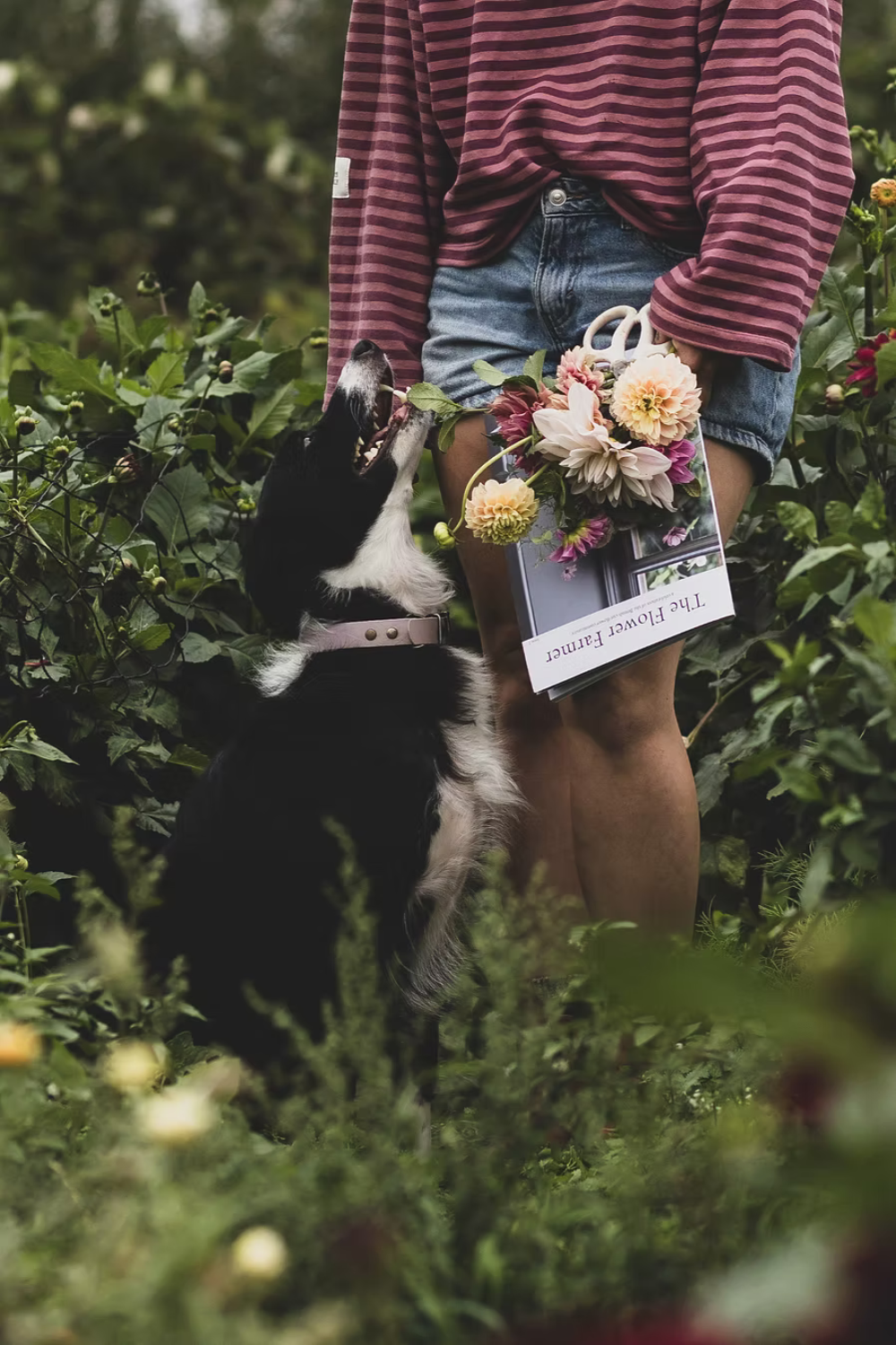 PRINT SUBSCRIPTION - The Flower Farmer Magazine